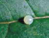 button2