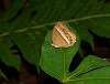button3