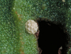 button2