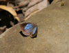 button9